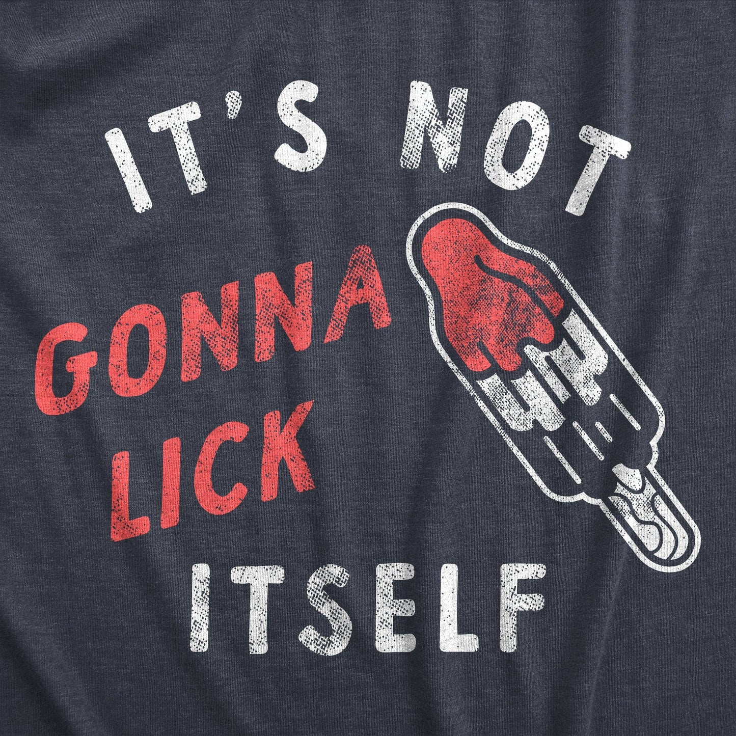 It’s Not Going to Lick Itself Funny Men’s Graphic T-Shirt – Adult Humor Meme Tee