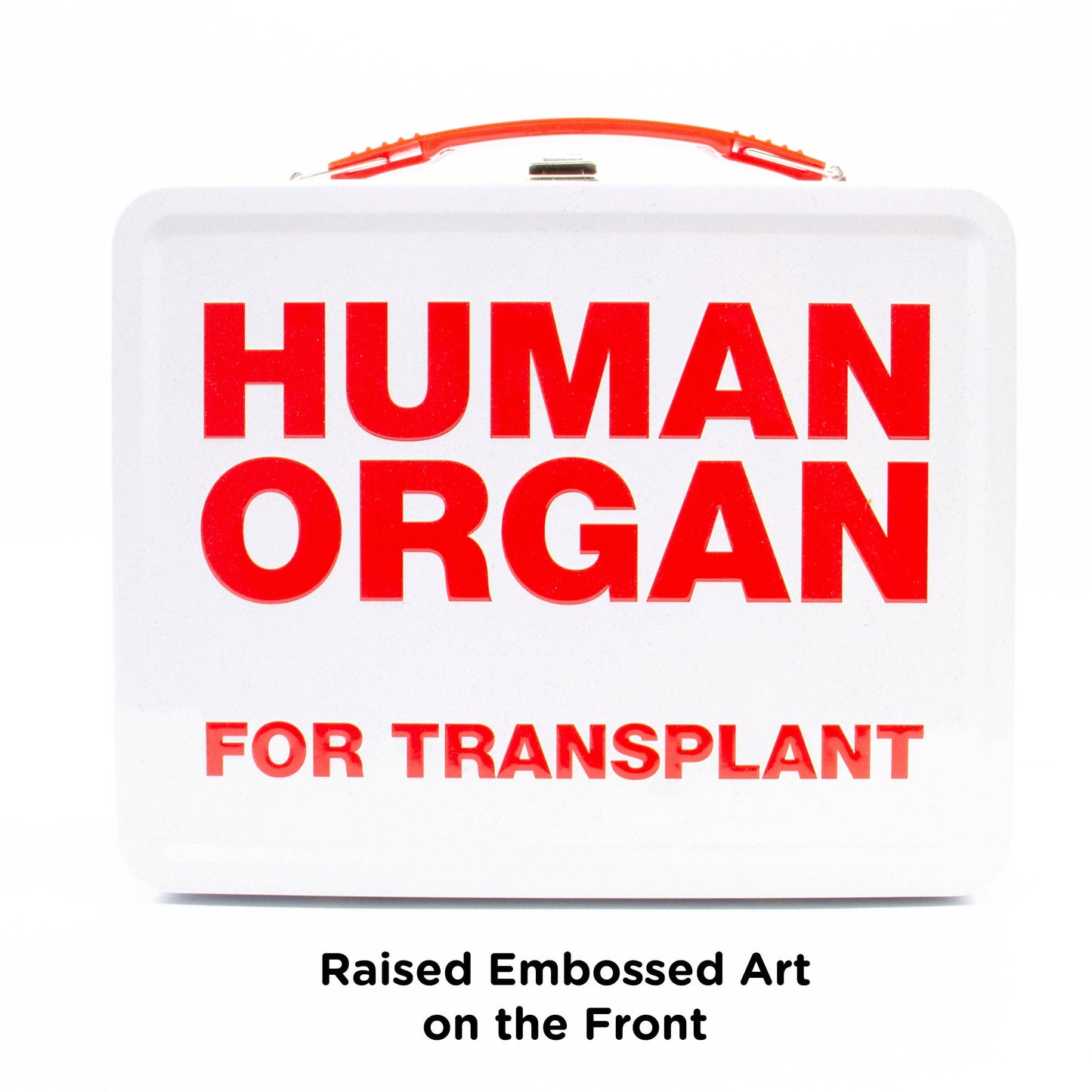 Human Organ Large Fun Box