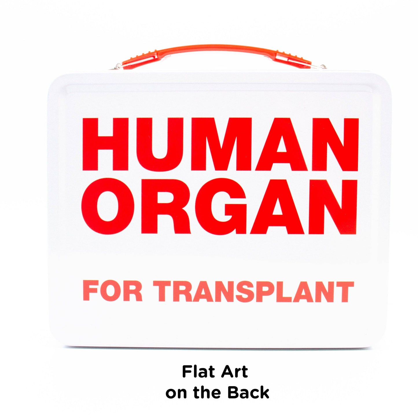 Human Organ Large Fun Box