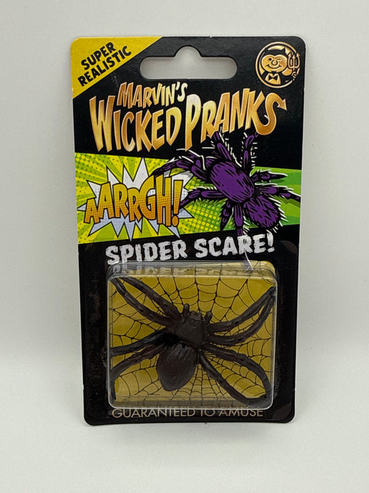 🕷️ Spider Scare