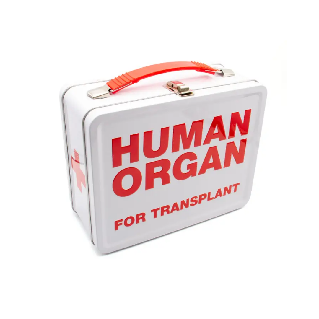 Human Organ Large Fun Box