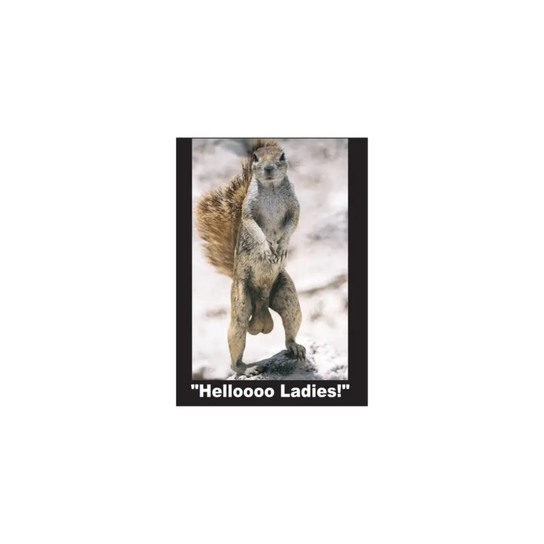 Hello Ladies Squirrel Magnet