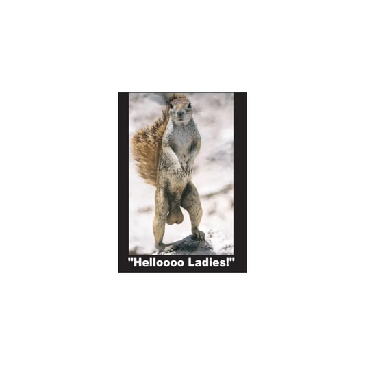 Hello Ladies Squirrel Magnet