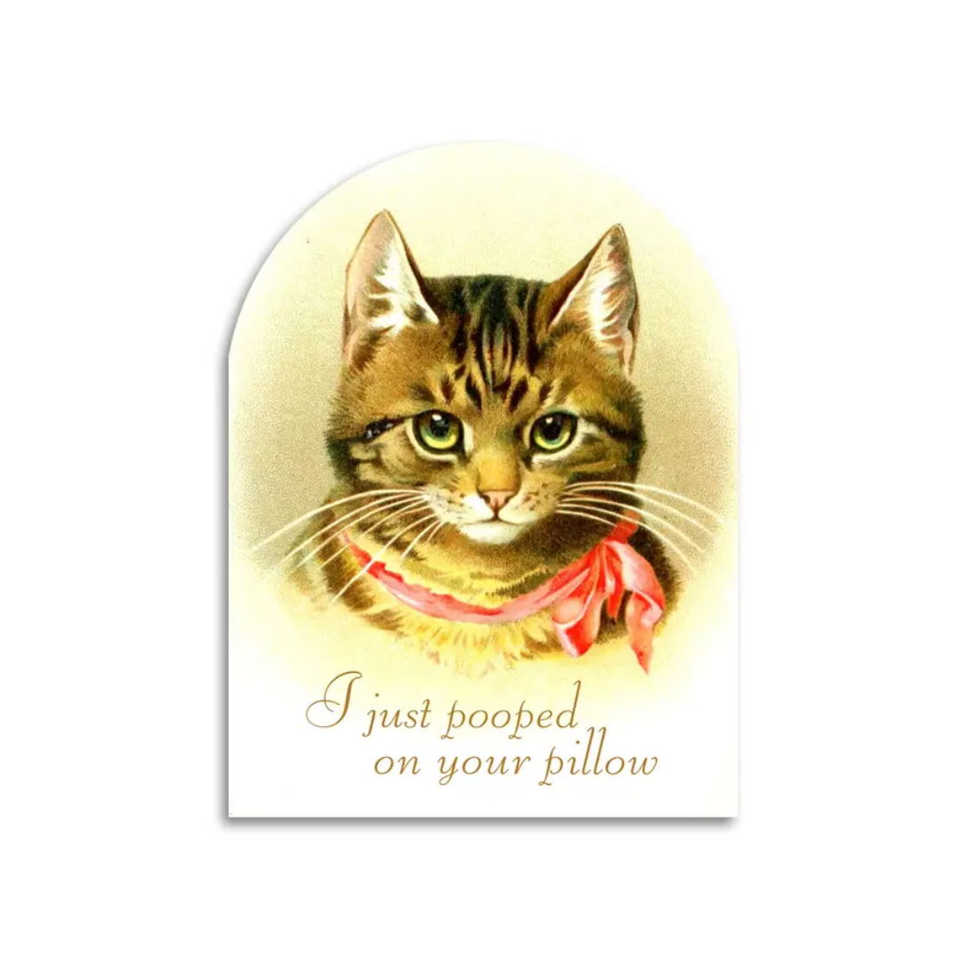 🐾 I Just Pooped on Your Pillow – Funny Cat Lover Card