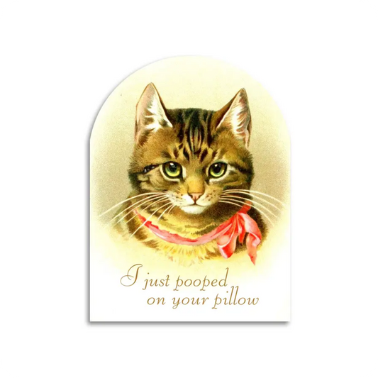 🐾 I Just Pooped on Your Pillow – Funny Cat Lover Card