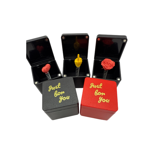 🎁 Just For You Box Prank
